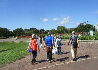 【10～11月開催】いずみ青空ストレッチ＆ウォーキング